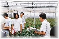 若手の会 in 関東